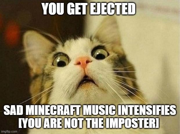 nooooooooo im not it | YOU GET EJECTED; SAD MINECRAFT MUSIC INTENSIFIES [YOU ARE NOT THE IMPOSTER] | image tagged in memes,scared cat | made w/ Imgflip meme maker