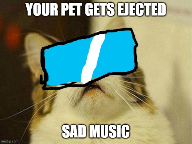 [your pet was not the impostor] | YOUR PET GETS EJECTED; SAD MUSIC | image tagged in memes,scared cat | made w/ Imgflip meme maker