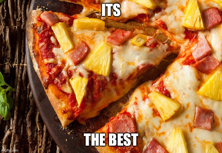 Pineappleonpizza | ITS THE BEST | image tagged in pineappleonpizza | made w/ Imgflip meme maker