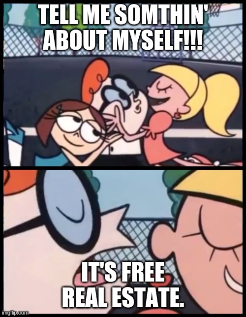 Say it Again, Dexter | TELL ME SOMTHIN' ABOUT MYSELF!!! IT'S FREE REAL ESTATE. | image tagged in memes,say it again dexter | made w/ Imgflip meme maker