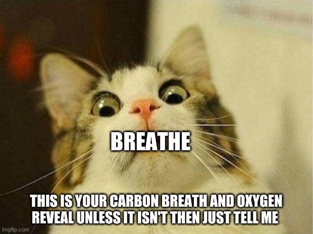 Thank you for 10 followers! Here is your oxygen and Carbon dioxide reveal! | BREATHE; THIS IS YOUR CARBON BREATH AND OXYGEN REVEAL UNLESS IT ISN'T THEN JUST TELL ME | image tagged in memes,scared cat | made w/ Imgflip meme maker