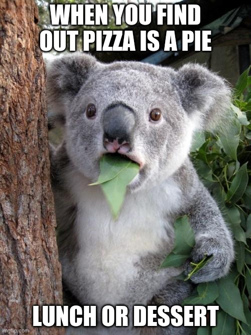 Surprised Koala | WHEN YOU FIND OUT PIZZA IS A PIE; LUNCH OR DESSERT | image tagged in memes,surprised koala | made w/ Imgflip meme maker