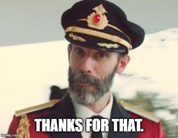 Captain Obvious | THANKS FOR THAT. | image tagged in captain obvious | made w/ Imgflip meme maker