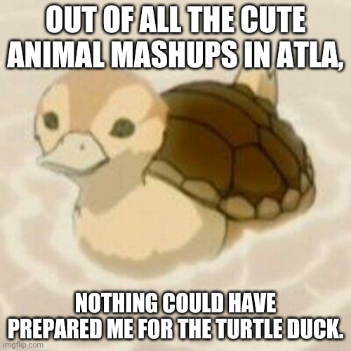 OUT OF ALL THE CUTE ANIMAL MASHUPS IN ATLA, NOTHING COULD HAVE PREPARED ME FOR THE TURTLE DUCK. | made w/ Imgflip meme maker
