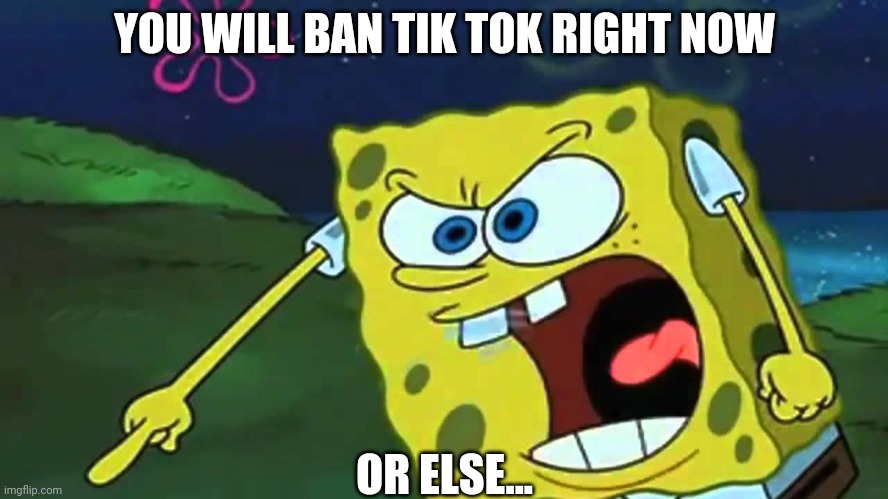 TIK TOK NEEDS TO BE BANNED RIGHT NOW | YOU WILL BAN TIK TOK RIGHT NOW; OR ELSE... | image tagged in spongebob mad | made w/ Imgflip meme maker