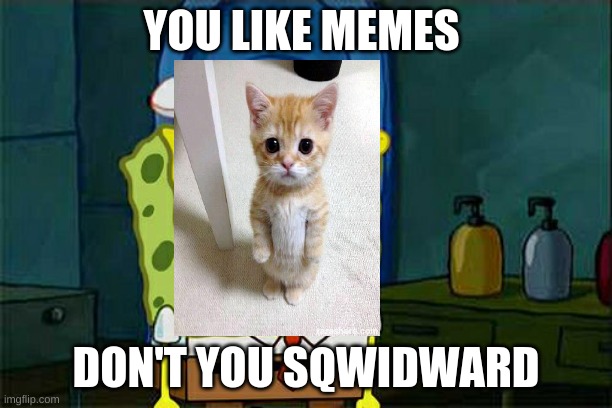 Don't You Squidward | YOU LIKE MEMES; DON'T YOU SQWIDWARD | image tagged in memes,don't you squidward | made w/ Imgflip meme maker