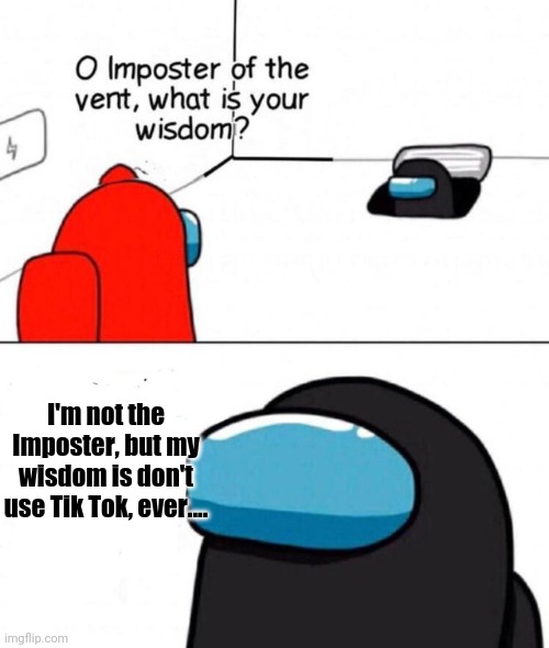 O imposter of the vent. | I'm not the Imposter, but my wisdom is don't use Tik Tok, ever.... | image tagged in o imposter of the vent | made w/ Imgflip meme maker