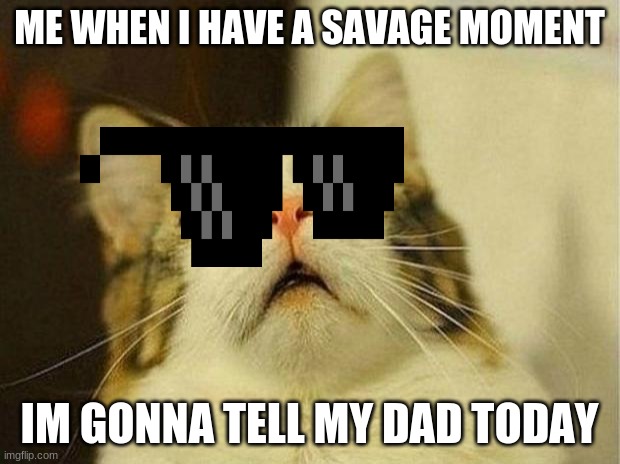 Scared Cat Meme | ME WHEN I HAVE A SAVAGE MOMENT; IM GONNA TELL MY DAD TODAY | image tagged in memes,scared cat | made w/ Imgflip meme maker