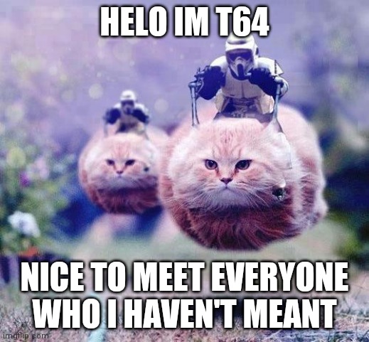 Storm Trooper Cats | HELO IM T64; NICE TO MEET EVERYONE WHO I HAVEN'T MEANT | image tagged in storm trooper cats | made w/ Imgflip meme maker
