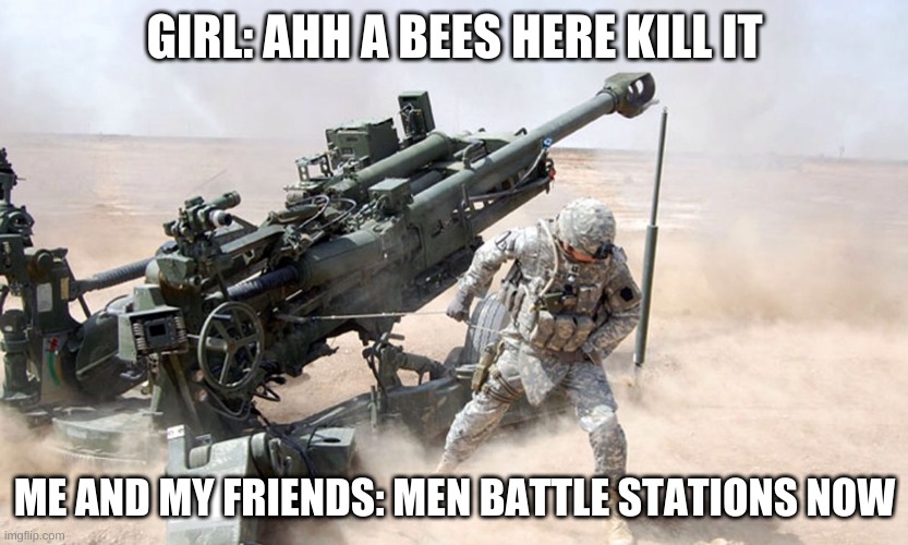 be memes | GIRL: AHH A BEES HERE KILL IT; ME AND MY FRIENDS: MEN BATTLE STATIONS NOW | image tagged in artillery | made w/ Imgflip meme maker