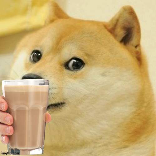 Choccy milk doge | image tagged in doge,choccy milk | made w/ Imgflip meme maker