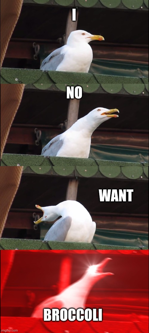 No veggies | I; NO; WANT; BROCCOLI | image tagged in memes,inhaling seagull | made w/ Imgflip meme maker