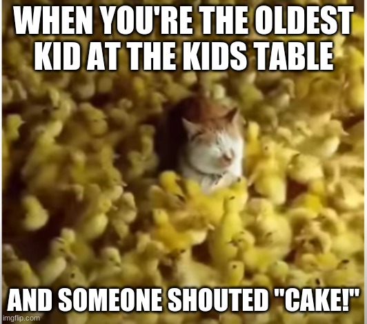 A cat in the sea of ducks. | WHEN YOU'RE THE OLDEST KID AT THE KIDS TABLE; AND SOMEONE SHOUTED "CAKE!" | image tagged in funny animals,childhood,funny cats,ducks | made w/ Imgflip meme maker