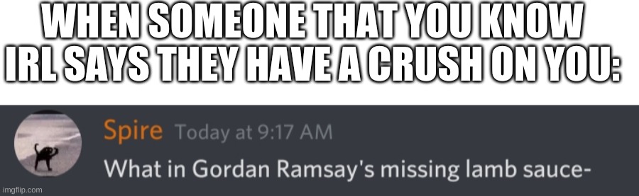 WHEN SOMEONE THAT YOU KNOW IRL SAYS THEY HAVE A CRUSH ON YOU: | image tagged in blank white template,what in gordan ramsay's missing lamb sauce | made w/ Imgflip meme maker