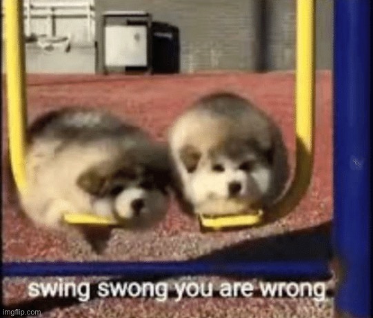 swing swong you are wrong | image tagged in swing swong you are wrong | made w/ Imgflip meme maker