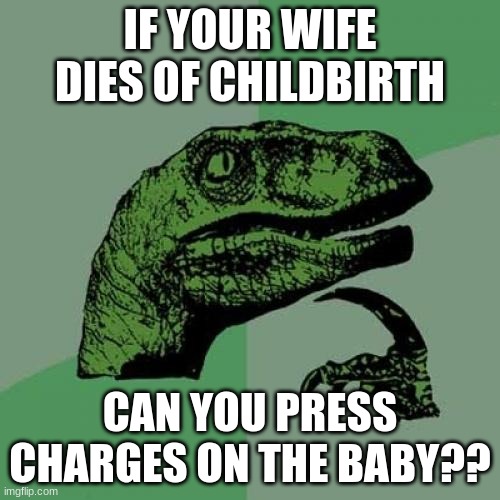 Philosoraptor Meme | IF YOUR WIFE DIES OF CHILDBIRTH; CAN YOU PRESS CHARGES ON THE BABY?? | image tagged in memes,philosoraptor | made w/ Imgflip meme maker
