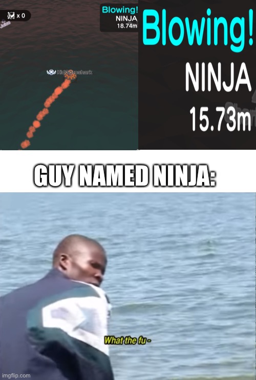GUY NAMED NINJA: | image tagged in blank white template,what the fu-,video games,funny memes,memes,funny | made w/ Imgflip meme maker
