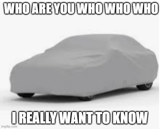 covered car | WHO ARE YOU WHO WHO WHO; I REALLY WANT TO KNOW | image tagged in covered car,memes | made w/ Imgflip meme maker