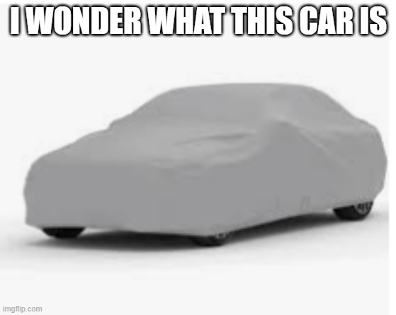 covered car | I WONDER WHAT THIS CAR IS | image tagged in covered car,memes | made w/ Imgflip meme maker