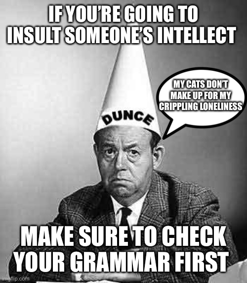 Dunce | IF YOU’RE GOING TO INSULT SOMEONE’S INTELLECT MAKE SURE TO CHECK YOUR GRAMMAR FIRST MY CATS DON’T MAKE UP FOR MY CRIPPLING LONELINESS | image tagged in dunce | made w/ Imgflip meme maker