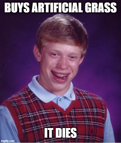 Bad Luck Brian | BUYS ARTIFICIAL GRASS; IT DIES | image tagged in memes,bad luck brian | made w/ Imgflip meme maker