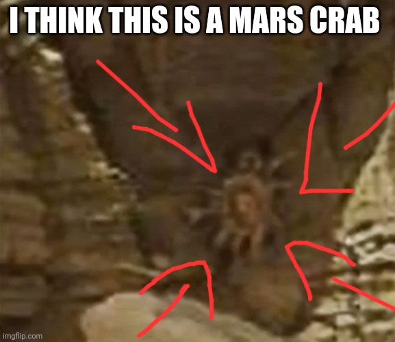 Crabby crabby crab crab | I THINK THIS IS A MARS CRAB | image tagged in mars crab | made w/ Imgflip meme maker