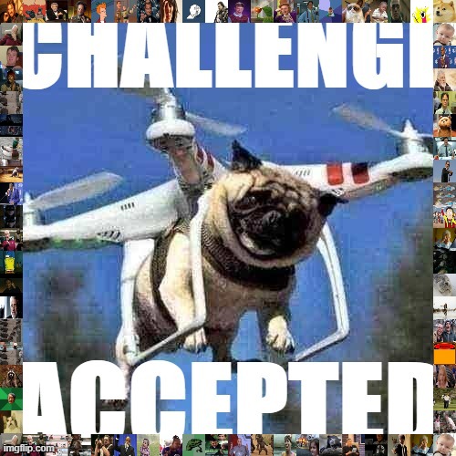 it's showtime. the future of ImgFlip -- nay, the future of memeing -- hangs in the balance! | image tagged in challenge accepted,imgflip,meanwhile on imgflip,flying pug,elections,memes about memeing | made w/ Imgflip meme maker