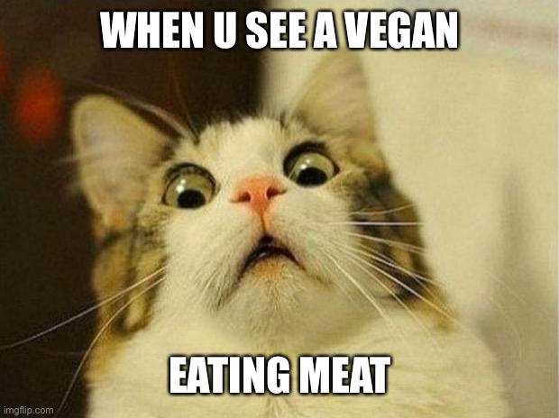 Scared Cat | WHEN U SEE A VEGAN; EATING MEAT | image tagged in memes,scared cat | made w/ Imgflip meme maker