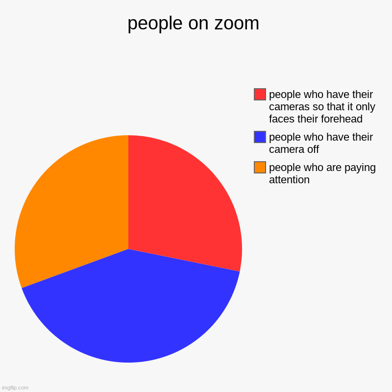 people on zoom | people who are paying attention, people who have their camera off, people who have their cameras so that it only faces thei | image tagged in charts,pie charts | made w/ Imgflip chart maker