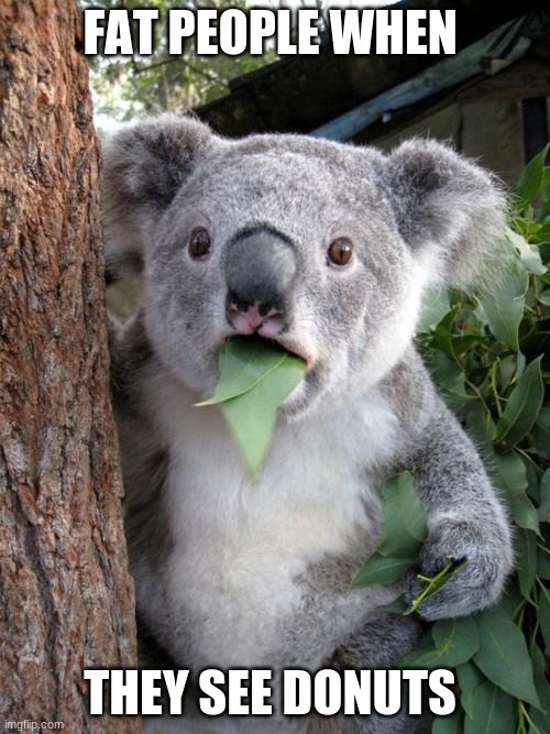 nobody... Fat People: | FAT PEOPLE WHEN; THEY SEE DONUTS | image tagged in memes,surprised koala | made w/ Imgflip meme maker