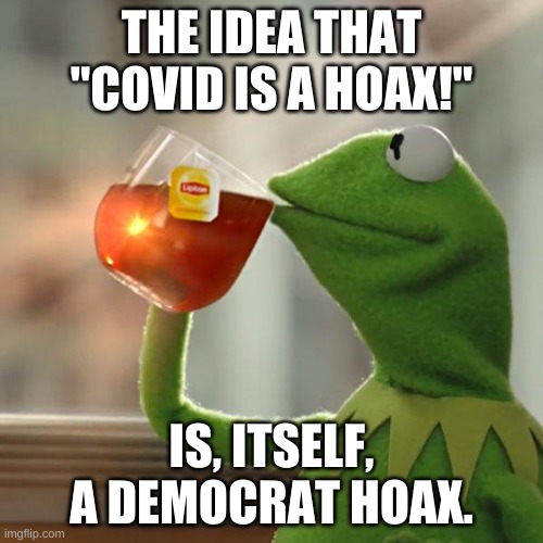 more hoax, more jokes | THE IDEA THAT "COVID IS A HOAX!"; IS, ITSELF, A DEMOCRAT HOAX. | image tagged in memes,but that's none of my business,kermit the frog | made w/ Imgflip meme maker