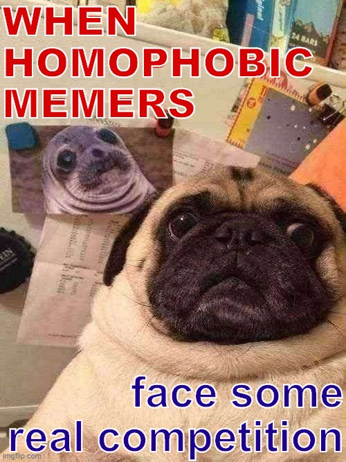 eyyy the IMGFLIP_PRESIDENTS race is heating up | WHEN HOMOPHOBIC MEMERS; face some real competition | image tagged in pug,guilty pug,sad pug,meanwhile on imgflip,imgflip trends,awkward moment sealion | made w/ Imgflip meme maker
