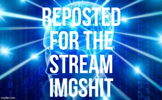 Reposted for the stream ImgShit | image tagged in reposted for the stream imgshit | made w/ Imgflip meme maker