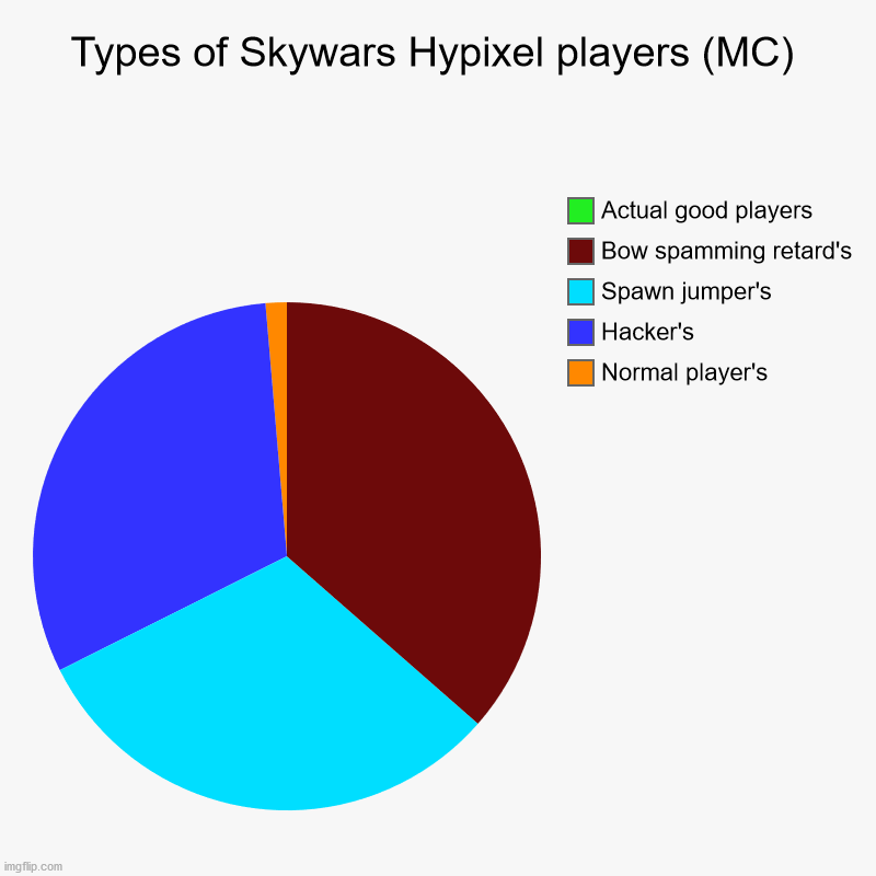 only skywars players will under stand | Types of Skywars Hypixel players (MC) | Normal player's, Hacker's, Spawn jumper's, Bow spamming retard's, Actual good players | image tagged in charts,pie charts | made w/ Imgflip chart maker