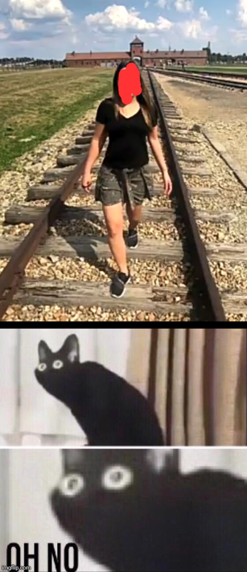 Why stand on the tracks???? | image tagged in oh no cat | made w/ Imgflip meme maker