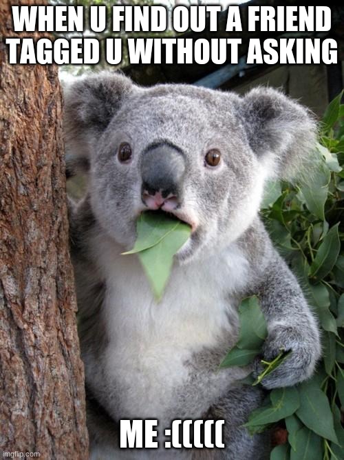 Surprised Koala Meme | WHEN U FIND OUT A FRIEND TAGGED U WITHOUT ASKING; ME :((((( | image tagged in memes,surprised koala | made w/ Imgflip meme maker