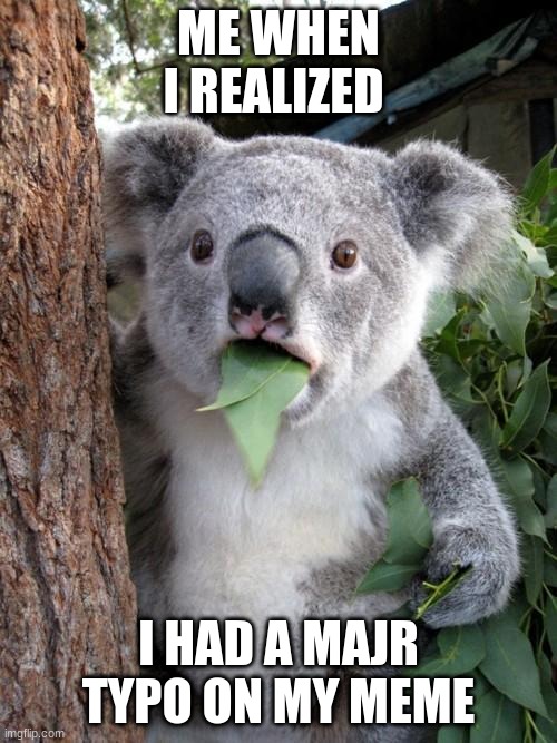 Surprised Koala Meme | ME WHEN I REALIZED; I HAD A MAJR TYPO ON MY MEME | image tagged in memes,surprised koala | made w/ Imgflip meme maker