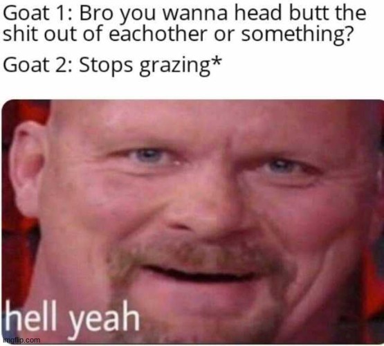 hell yeah | image tagged in steven austin | made w/ Imgflip meme maker