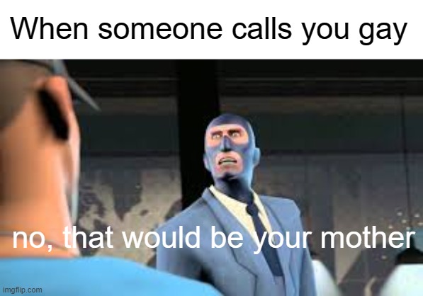 gimme that | When someone calls you gay; no, that would be your mother | image tagged in your mom,funny,memes | made w/ Imgflip meme maker