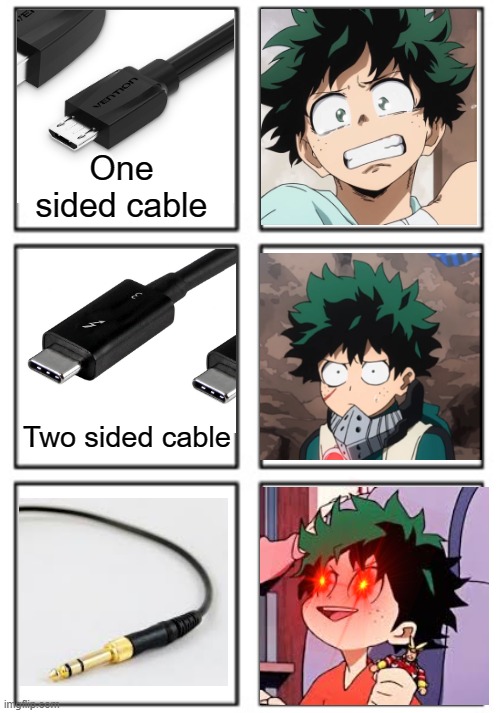 Yus, my first meme with a transparent image. | One sided cable; Two sided cable | image tagged in deku,memes,anime,animeme,bruh,bnha | made w/ Imgflip meme maker