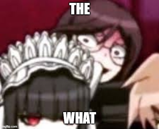 Toko stare | THE WHAT | image tagged in toko stare | made w/ Imgflip meme maker
