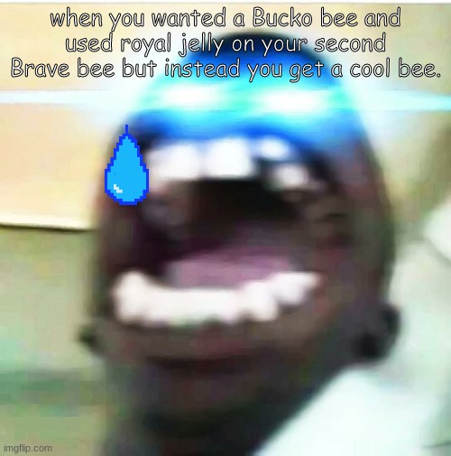 Cool bee instead of Bucko bee | when you wanted a Bucko bee and used royal jelly on your second Brave bee but instead you get a cool bee. | image tagged in the laser eye | made w/ Imgflip meme maker