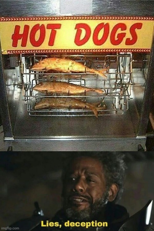 The fish in the hot dogs section | image tagged in sw lies deception,hot dogs,fish,you had one job,memes,meme | made w/ Imgflip meme maker