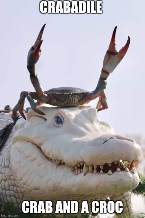 Crabadile | CRABADILE; CRAB AND A CROC | image tagged in crab on crocodile | made w/ Imgflip meme maker
