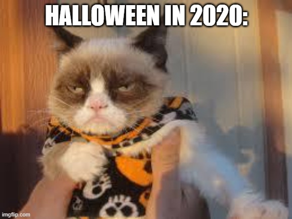 spooktober meme |  HALLOWEEN IN 2020: | image tagged in memes,grumpy cat halloween,grumpy cat | made w/ Imgflip meme maker