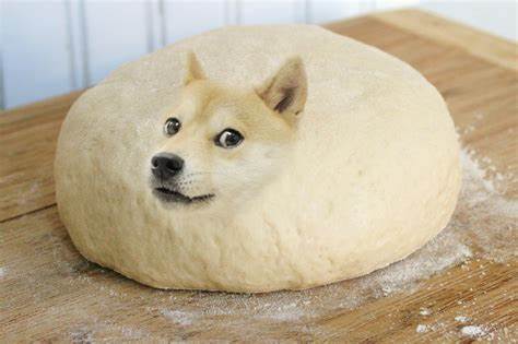 High Quality Doge Dough Blank Meme Template
