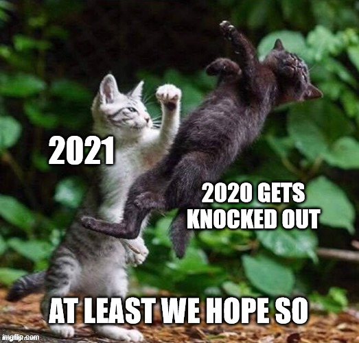 2020 Knockout | 2021; 2020 GETS KNOCKED OUT; AT LEAST WE HOPE SO | image tagged in kittens boxing,haiku,2020,cats,meme | made w/ Imgflip meme maker