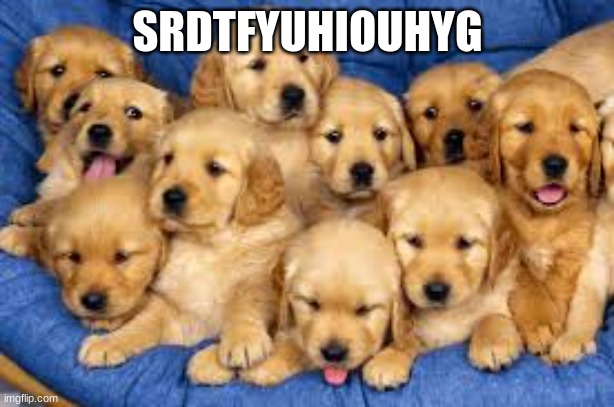 SRDTFYUHIOUHYG | made w/ Imgflip meme maker