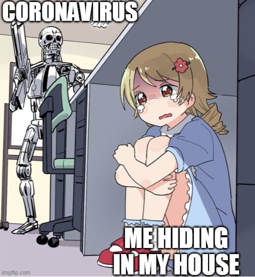 I only go outside a little bit | CORONAVIRUS; ME HIDING IN MY HOUSE | image tagged in anime girl hiding from terminator | made w/ Imgflip meme maker