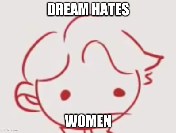 Derp Tommyinnit | DREAM HATES WOMEN | image tagged in derp tommyinnit | made w/ Imgflip meme maker